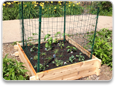 Garden in a Box