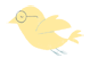 Medicare Freedom Bird Promo