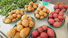 Farmer&rsquo;s market feast