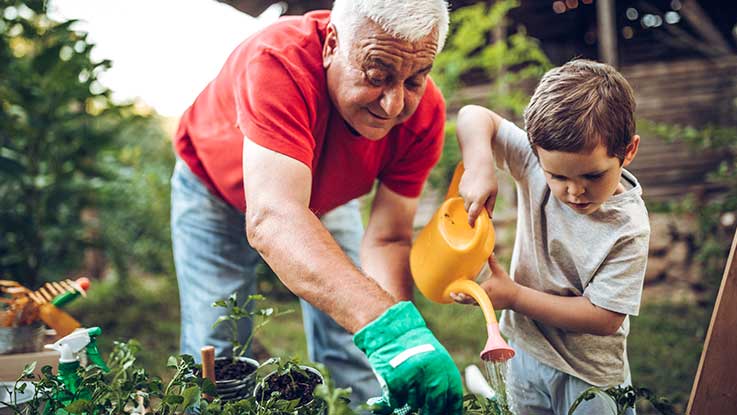An older man tends to his garden while his young grandson waters the plants with a watering can.