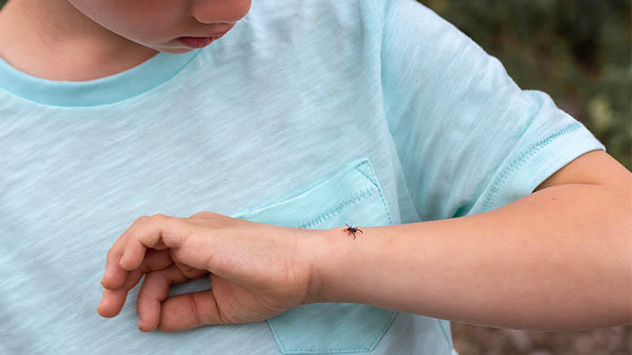 A young boy spots a tick crawling across his forearm.