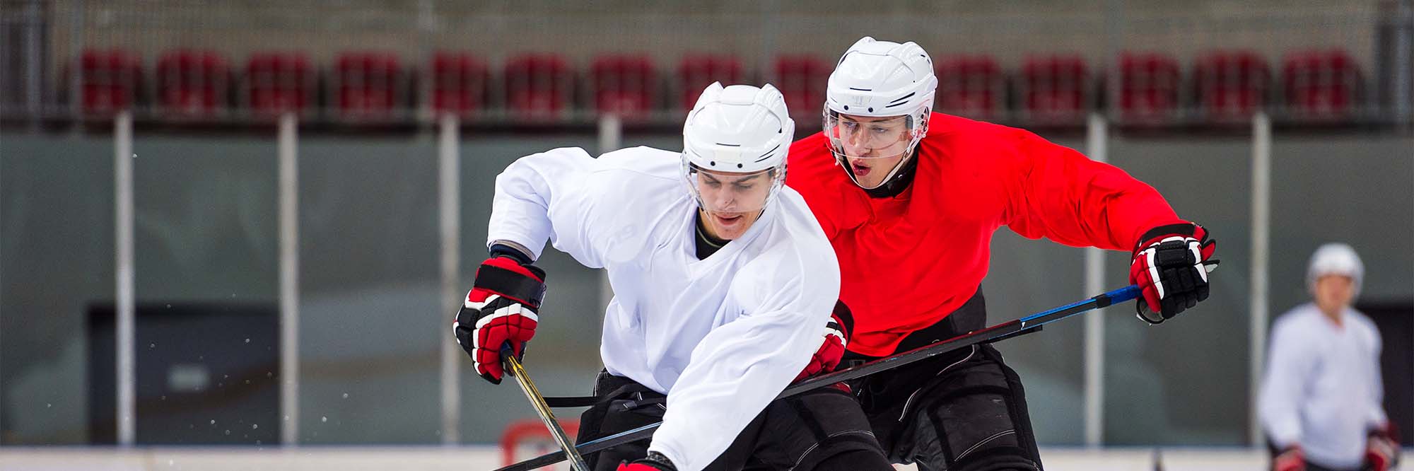 Home exercises for hockey players TRIA blog