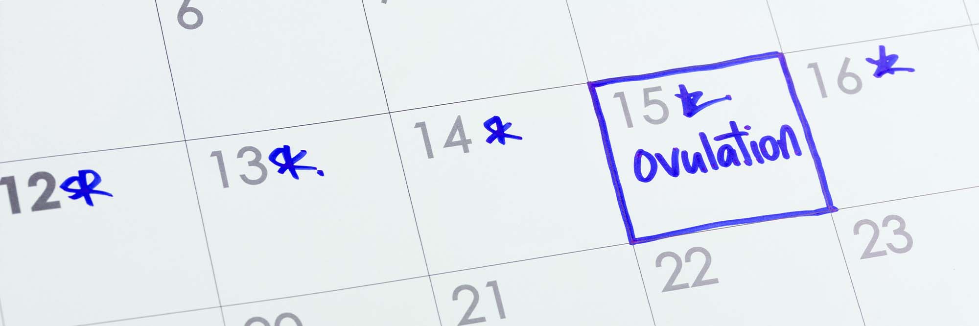 When are you most fertile? HealthPartners Blog