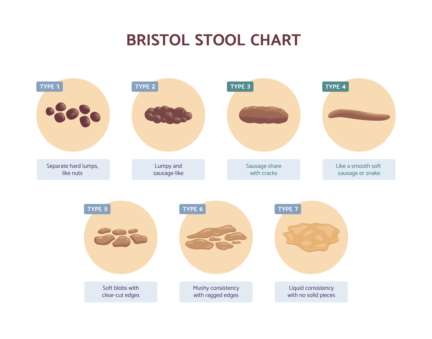 How Well Do You Know Your Poop Chart Cashin Fouthe