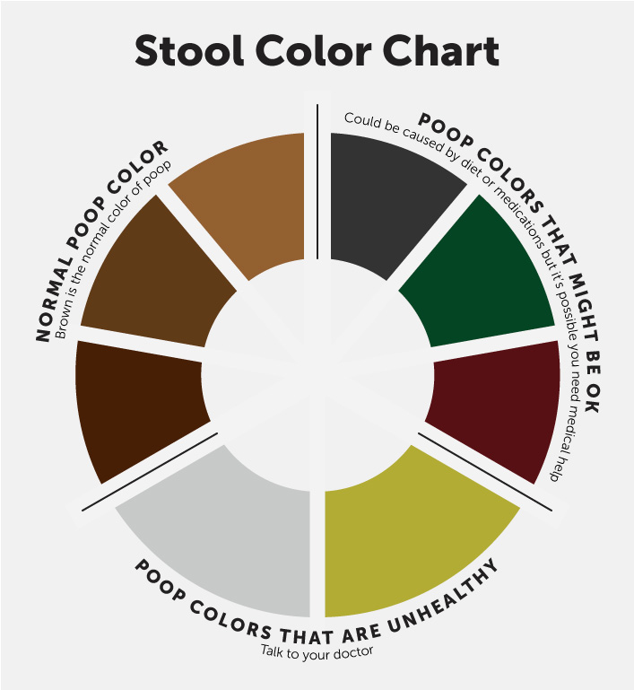 Human Stool Color Meaning Chart The Poop Palette What Do All Of Those
