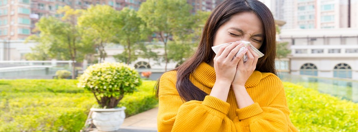 Banner: Health blog - Is it a cold or allergies? 