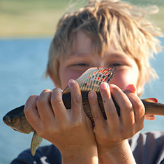 A smiling boy holds up a fish he caught.
