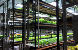 Image: Career: Culture and Benefits - sustainability